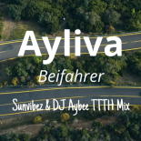 Ayliva - Beifahrer (Sunvibez & DJ Aybee TTTH Edit)