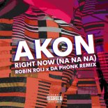 Akon - Right Now (Na Na Na) (Robin Roij & Da Phonk Remix)