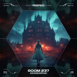 Anamorphic - Room 237