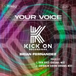 Brian Fernandez - Your Voice (Original Mix)