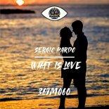 Sergio Pardo - What Is Love