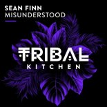 Sean Finn - Misunderstood (Extended Mix)