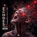 Disarray - Echoes Of Pain (Original Mix)