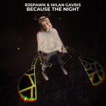 R3SPAWN & Milan Gavris Feat. ExtraGirl - Because The Night (Extended Mix)