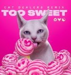 HOZIER - TOO SWEET (CAT DEALERS REMIX) (EXTENDED)