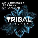 David Novacek, Lee & Dann - Junto al Mar (Extended Mix)