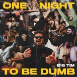 Big Tim - One Night To Be Dumb (Extended Mix)