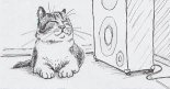 MelodicTechnoLove2024-11-23_1h16m30