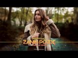 Happysad - Zanim pójdę (FAIR PLAY REMIX)