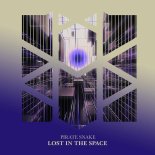 Pirate Snake - Lost in the Space (Original Mix)