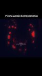 Sobel - Kochasz (NoizBasses Remix)