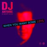 DJ Antoine & Deep Vice - When You Want Some Love (DJ Antoine vs Mad Mark 2k21 Extended Mix)