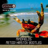 THE PRODIGY - MINDFIELDS (METODI HRISTOV BOOTLEG)