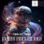 Twelve Trees - Synthesis (Original Mix)