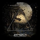 Bouras - Ce Soir (Extended Mix)