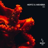 Hertz & Wehbba - Serendipitous Connection (Original Mix)