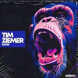 Tim Ziemer - Sahr (Original Mix)