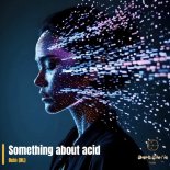 Rein (NL) - Something about ACID (Original Mix)