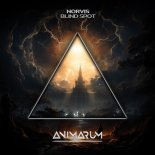 Norvis - Blind Spot (Original Mix)