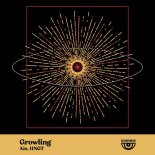 AIO, HNGT - Growling (Original Mix)