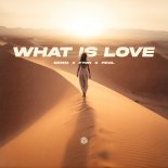Semm, Fyon & feva. - What Is Love (Extended Mix)