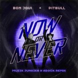 Pitbull & Bon Jovi - Now Or Never (Muzik Junkies & Arock Remix)