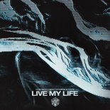 DubVision, Nicky Romero & OAKS - Live My Life (Original Mix)