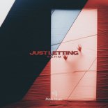 RILTIM - Just Letting (Original Mix)