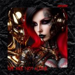 AnviSonik - We Are Not Alone (Original Mix)