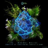 Yanacone - Singularity (Original Mix)