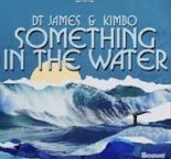 DT James & Kimbo - Something In The Water