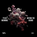 Tyler Wenning - Within The Sound (Original Mix)