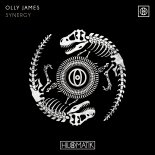 Olly James - Synergy (Extended Mix)