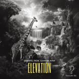 German Avny, Dannyel Mor - Elevation (Extended Mix)