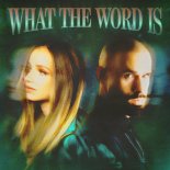 Jackie Hollander, Malone & Baby Bash - What The Word Is (Extended)