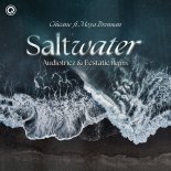 Chicane Ft. Moya Brennan - Saltwater (Audiotricz & Ecstatic Remix) (Extended Mix)