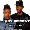 Culture Beat - Mr.Vain (Red Line & M1CH3L P Remix)