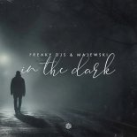 Freaky DJs & Majewski - In The Dark