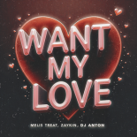 Melis Treat, Zaykin & DJ ANTON - Want My Love