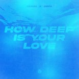 SEMM & Orfa - How Deep Is Your Love