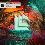 Steeper, Matt Ice - Run (Extended Mix)