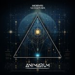 Norvis - Raptor (Original Mix)