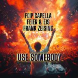 Flip Capella x Feier & Eis x Frank Zeising - Use Somebody