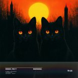 Iriser & Fevy - Insomnia