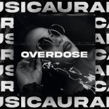 PUNSH & Muffin - Overdose