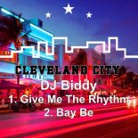DJ Biddy - Give Me the Rhythm