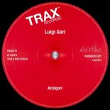 Luigi Gori - Acidgori