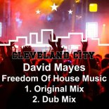 David Mayes - Freedom of House Music (Original Mix)