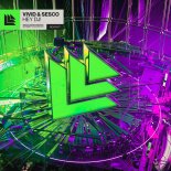 Vivid & Sesco - Hey DJ! (Extended Mix)