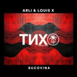 Louis X, Arli (AL) - Bucovina (Extended Mix)